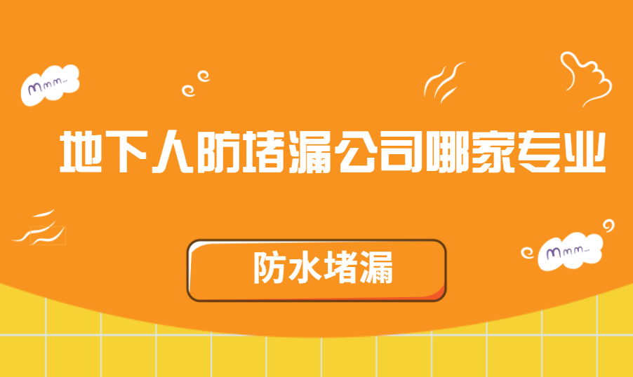 地下人防青青草原网址公司哪家專業