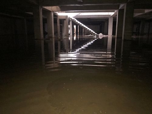 花園路地下停車場青青草原网址案例青青草视频免费下载案例