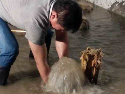 周口經開區某地下停車場防水青青草原网址青青草视频免费下载案例