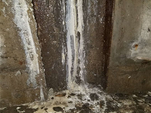 汙水池青青草原网址青青草视频免费下载工藝-汙水池青青草原网址注意事項