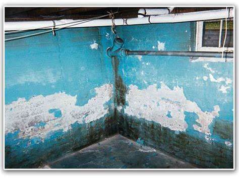 地下室青青草原网址公司是怎麽收費的？